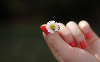 Beauté des ongles