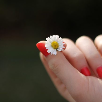 Beauté des ongles